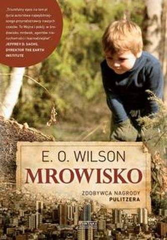 Mrowisko