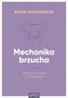 Mechanika brzucha