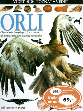 Orli