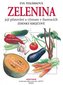Zelenina