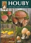 Houby