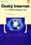 Český internet a MS internet explorer