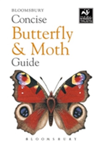 Concise Butterfly and Moth Guide