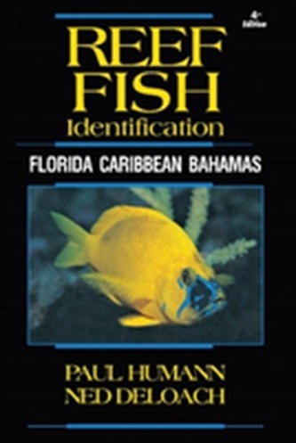 Reef Fish Identification