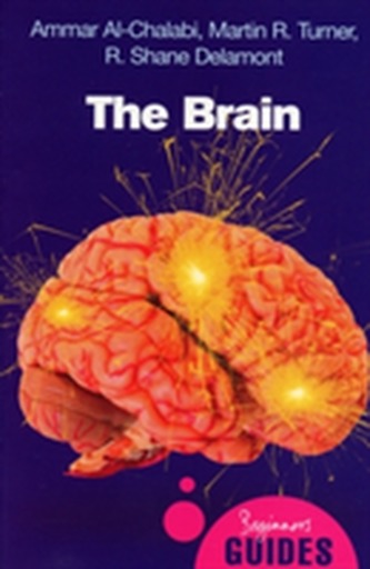 The Brain