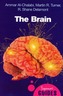 The Brain