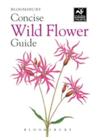 Concise Wild Flower Guide