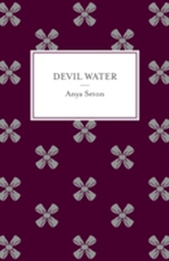 Devil Water