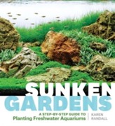 Sunken Gardens A Step by Step Guide to Aquariums