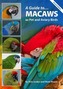 A Guide to Macaws