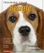 Training Your Beagle