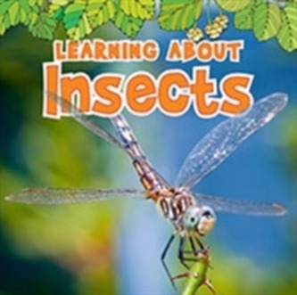 Learning About Insects