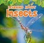 Learning About Insects