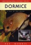 Dormice