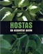 Hostas