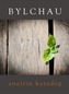 Bylchau