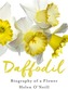 Daffodil