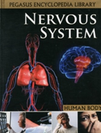 Nervous System
