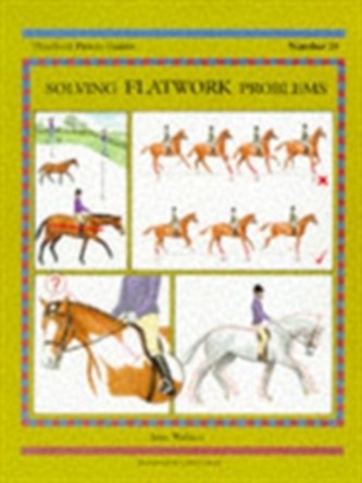 Solving Flatwork Problems