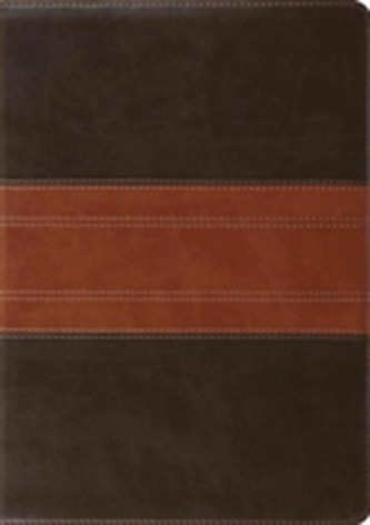 ESV Study Bible