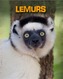 Lemurs