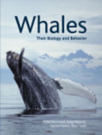 Whales
