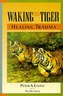 Waking The Tiger