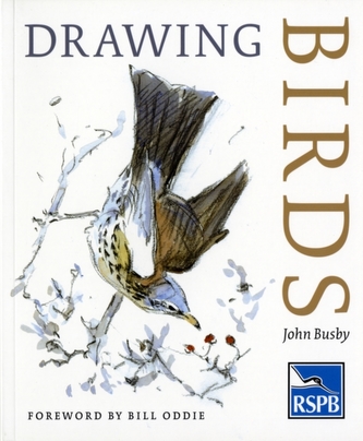 Drawing Birds