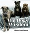Old Dog Wisdom
