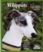 Whippets