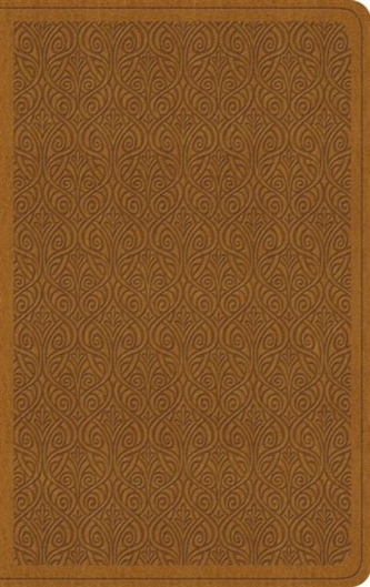 ESV Value Thinline Bible