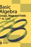 Basic Algebra