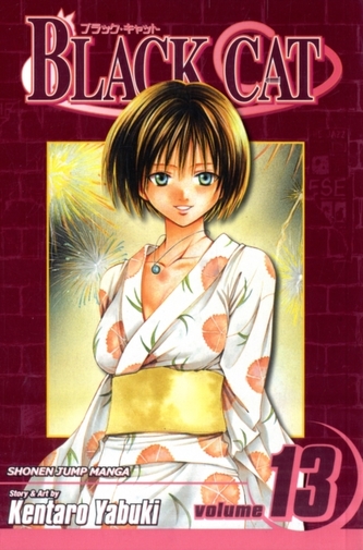 Black Cat, Vol. 13