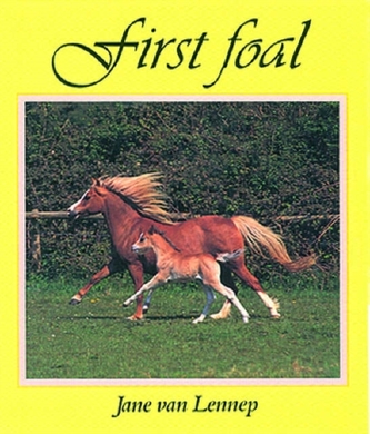 First Foal