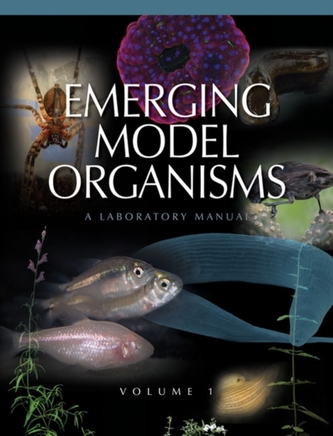 Emerging Model Organisms