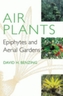 Air Plants