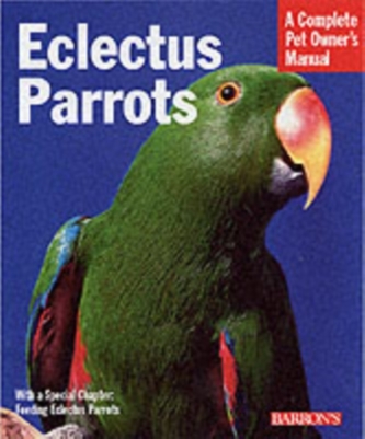 Eclectus Parrots