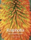 Kniphofia