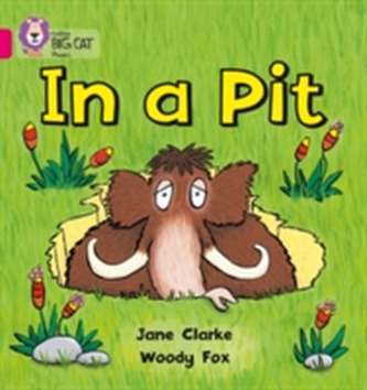 In a Pit