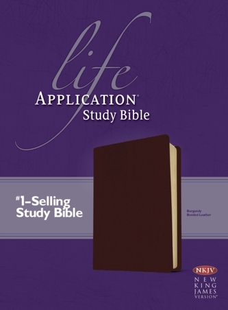 Life Application Study Bible
