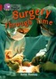 Surgery through Time