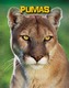 Pumas