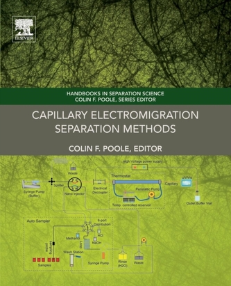 Capillary Electromigration Separation Methods