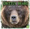 Grizzly Bears