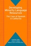 Developing Minority Language Resources