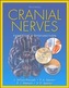 Cranial Nerves