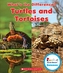 TURTLES & TORTOISES