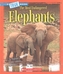 ELEPHANTS