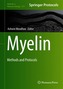 Myelin