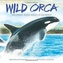 Wild Orca